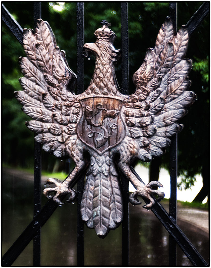 King Radziwiłł Family Crest